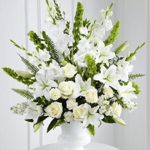 Morning Stars Arrangement