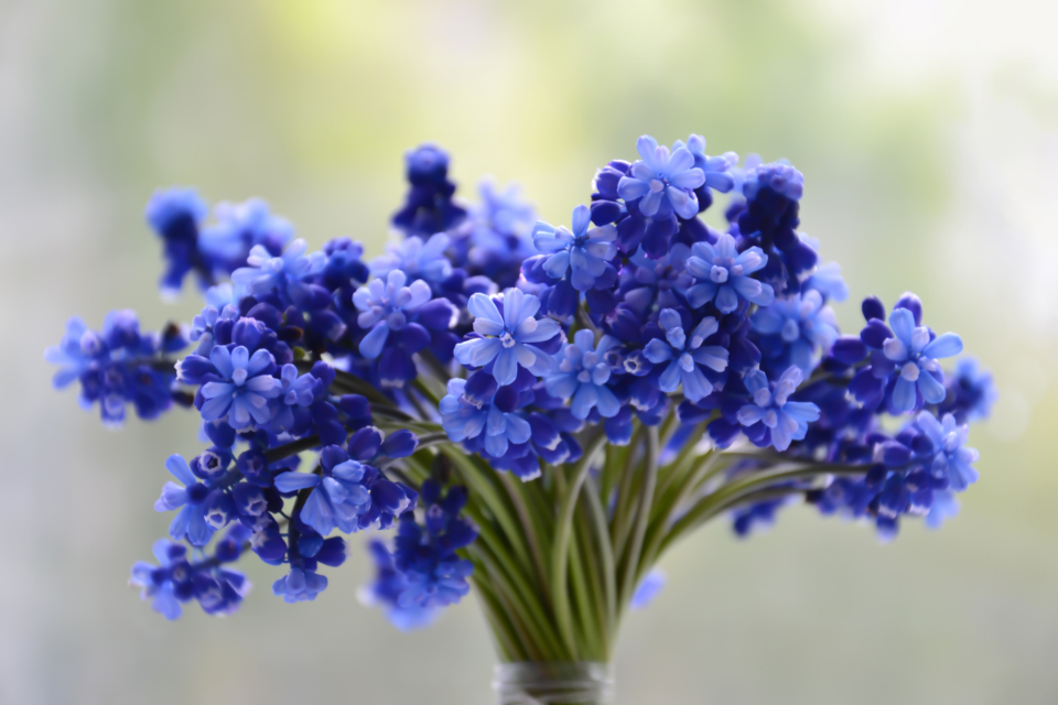 Cherished Friend Bouquet