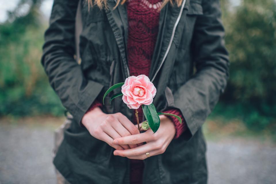 Soft pink blooms representing gifts for her